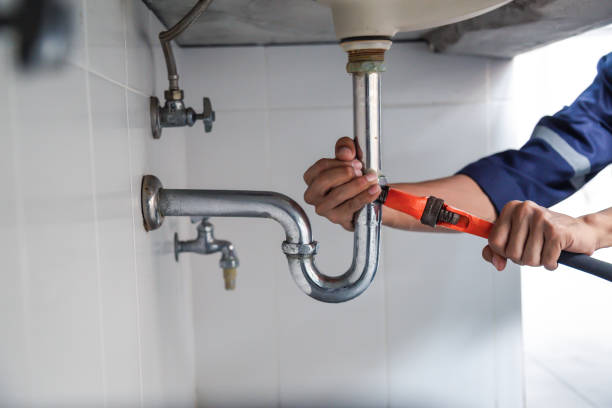 Best Toilet Repair Services  in Spring Lake, MI