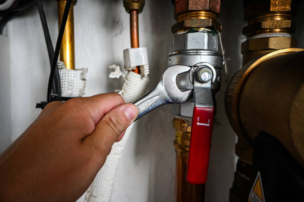 Best Emergency Plumber  in Spring Lake, MI